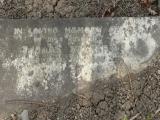 image of grave number 47678